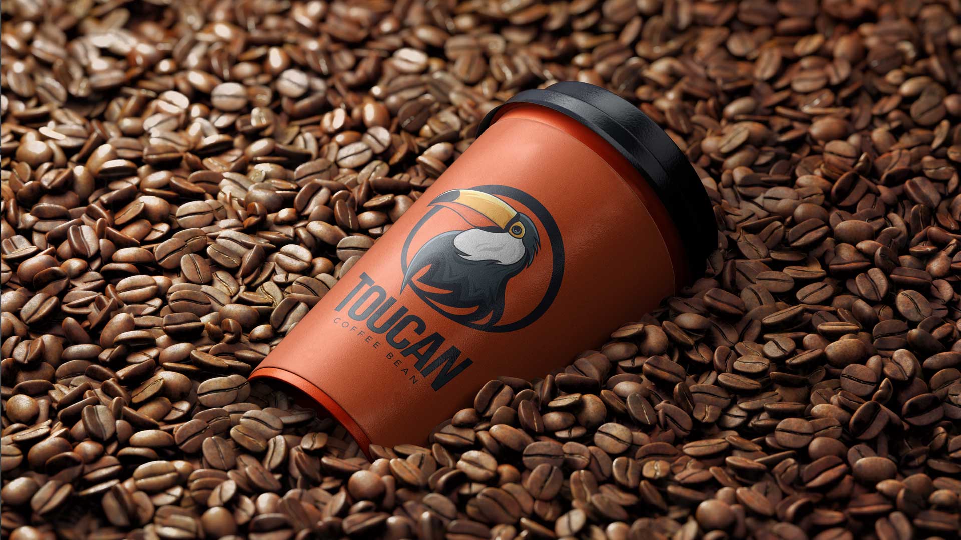 Toucan Coffee Bean